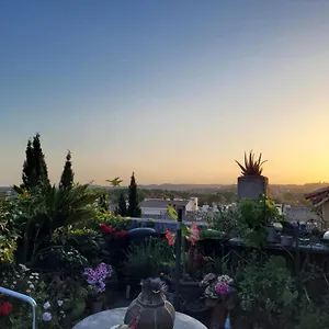 Un Nid Sur Les Toits Face Au Palais Des Papes Apartment Avignon